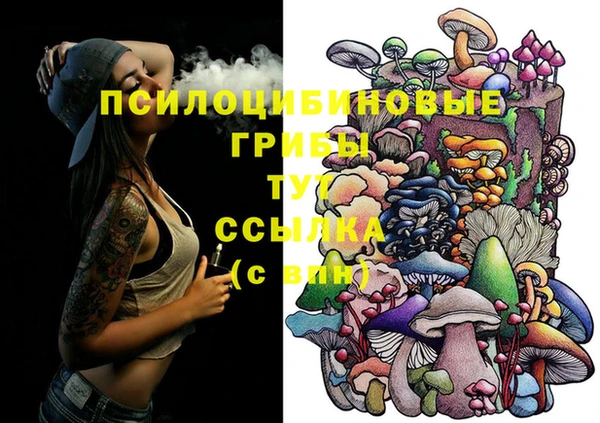 трава Алексин