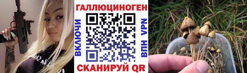 Галлюциногенные грибы мицелий  Купить  Константиновск 